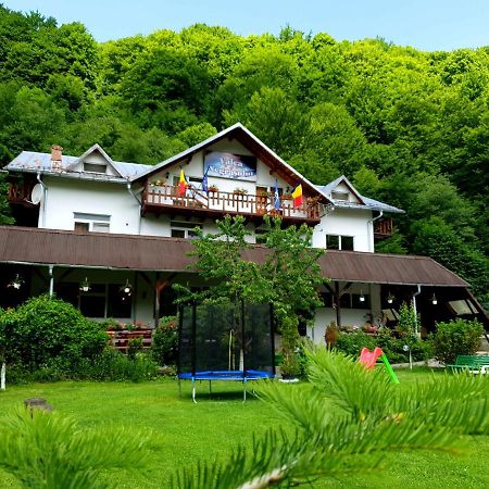 Pensiunea Valea Negrasului Traisteni Exterior photo