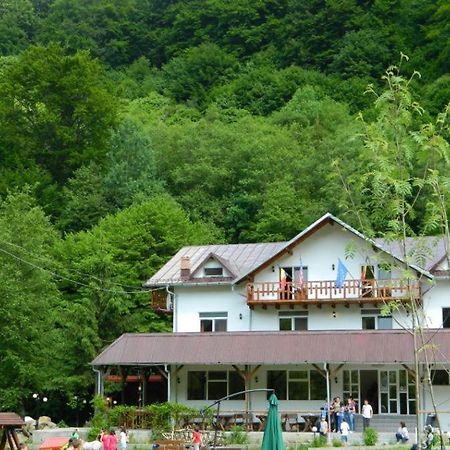 Pensiunea Valea Negrasului Traisteni Exterior photo
